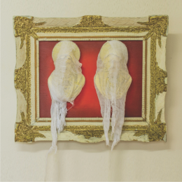 gallery/19