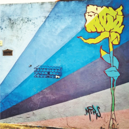 gallery/rua (5)