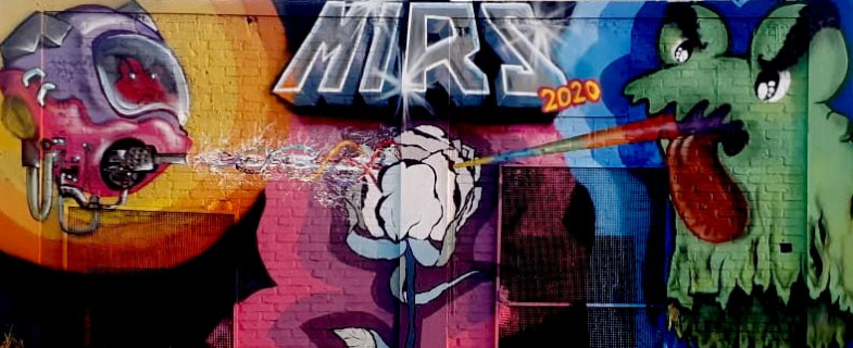 gallery/mirs