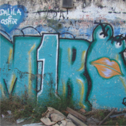 gallery/rua (4)